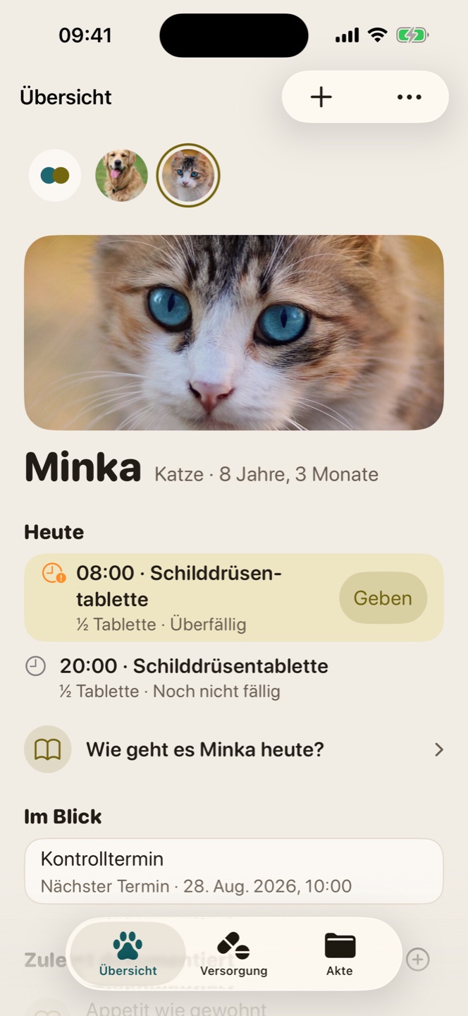 Übersicht für die Katze Minka: großes Foto, heute zwei Gaben der Schilddrüsentablette, im Blick der nächste Kontrolltermin.