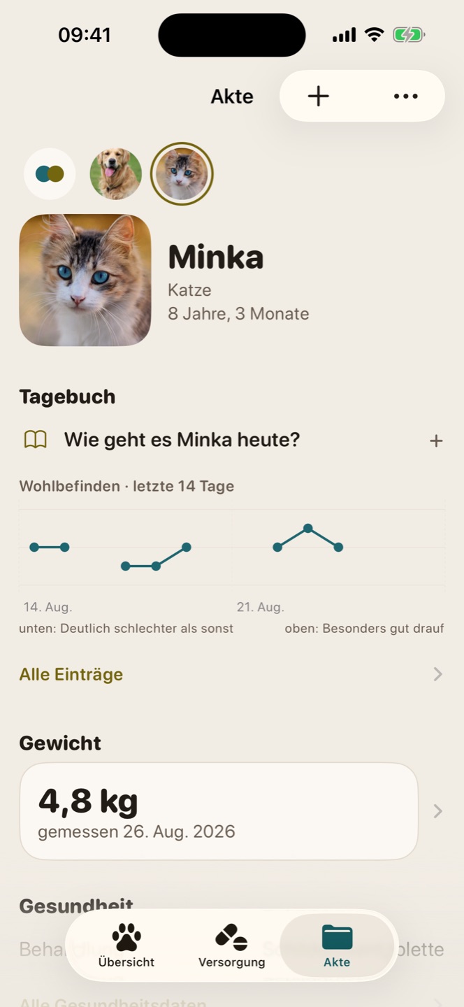 Akte mit Porträt, Tagebuch-Verlauf der letzten 14 Tage und Gewicht.
